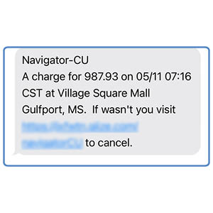 Scam links in texts 2